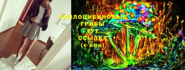 индика Касимов