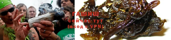 индика Касимов