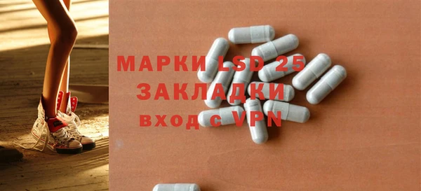 индика Касимов