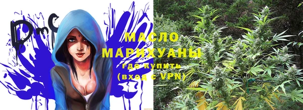 индика Касимов