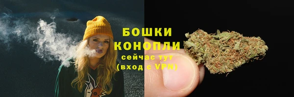 индика Касимов