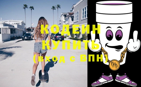индика Касимов