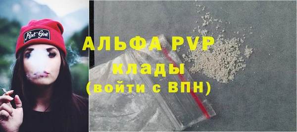 индика Касимов