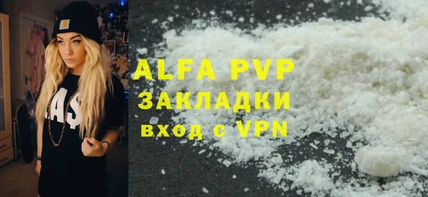 индика Касимов