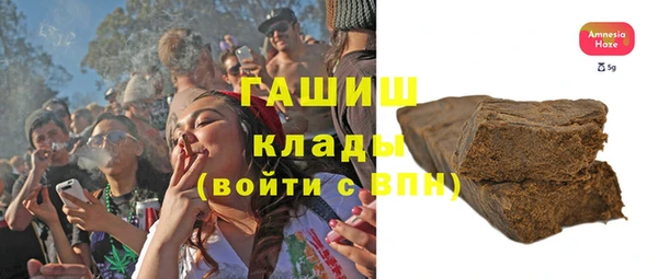 индика Касимов