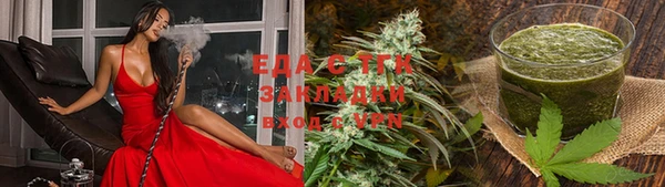 индика Касимов