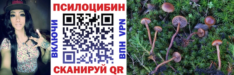 Галлюциногенные грибы MAGIC MUSHROOMS  Купить где  Воркута 